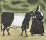 Cooper Oaks Design - Dutch Belted Cow