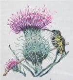 Julie Mar & Friends - Thistle and Hummingbird