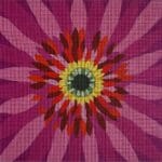 Alice Peterson Company - Pink Gerber Daisy Close Up
