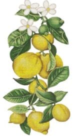 Melissa Shirley Designs - Lemons