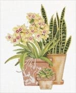 Melissa Shirley Designs - Snake Plant & Succulents