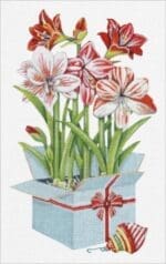 Melissa Shirley Designs - Amaryllis Gift Box