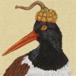 Melissa Shirley Designs - Oscar-Oystercatcher
