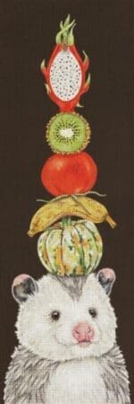 Melissa Shirley Designs - The Collector-Opossum