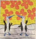 Penny MacLeod - Blue Footed Boobys