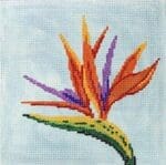 Patti Mann Needlepoint - Bird of Paradise on Aqua