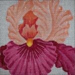 JP Needlepoint - Carol's Coral Iris