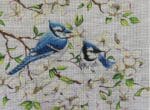 Colors of Praise - Blue Jays