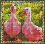 Colors of Praise - Geese