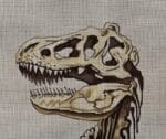 Colors of Praise - Dinosaur Skull