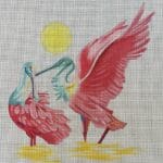 Colors of Praise - Spoonbill Spouses
