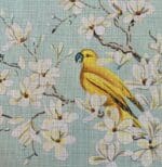 Colors of Praise - Peace and a Parrot