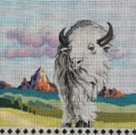 Colors of Praise - White Bison