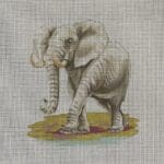 Colors of Praise - Elephant