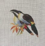 Colors of Praise - Toucans