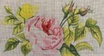 Colors of Praise - Pink Rose/Butterfly