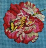 Colors of Praise - Red Flower