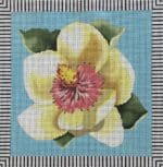 Colors of Praise - Single Magnolia