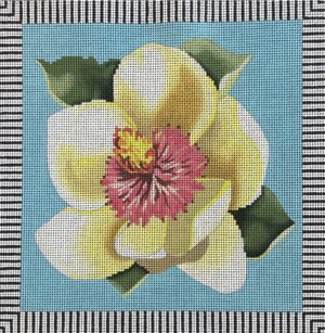 Colors of Praise - Single Magnolia