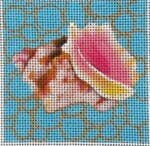 Colors of Praise - Conch