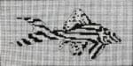 Colors of Praise - Black and White Fish