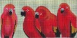 Colors of Praise - Red Parrots