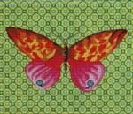 Colors of Praise - Butterfly