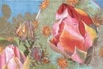 PLD Needlepoint Designs - Desert Rose