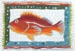 Pippin Studio - Rockfish