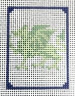 Maura Nolan Designs - Green Dragon Mahjong Tile