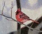 Colors of Praise - Cardinal