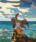 Colors of Praise - The Pelican