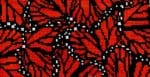 The Gingham Stitchery - Monarch Insert in Orange and Black
