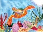 PLD Needlepoint Designs - Reef Rider