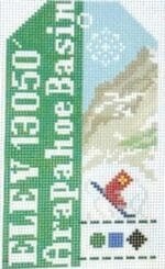 Hedgehog Needlepoint - Arapahoe Basin Retro Travel Tag