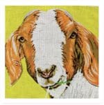 The Meredith Collection - Goat