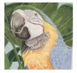 The Meredith Collection - Parrot Blue and Yellow Macaw